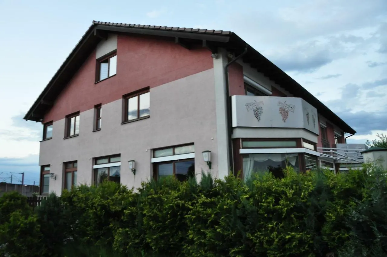 Villa Weinperle Event&Boarding House Sinzheim