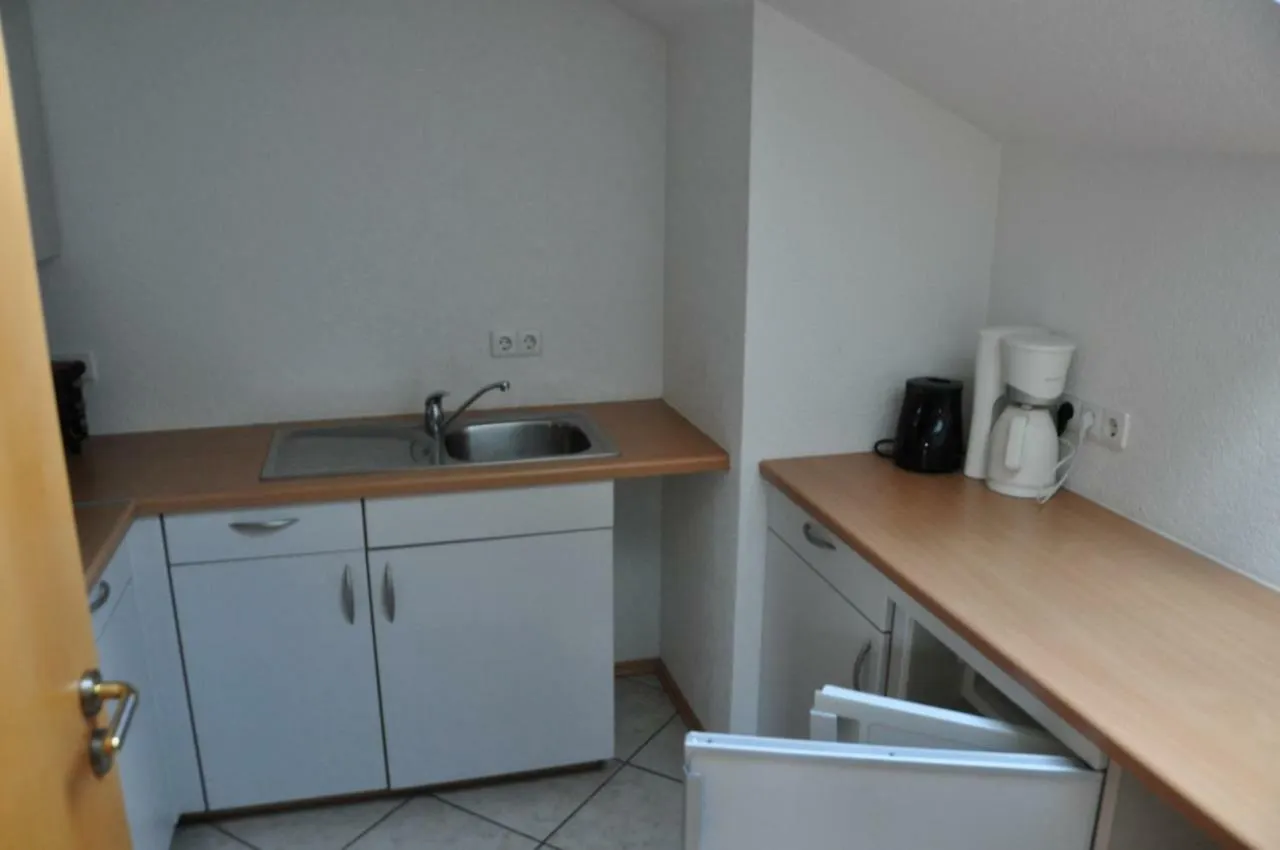 Weinperle Event & Boarding House Villa Sinzheim Holiday home